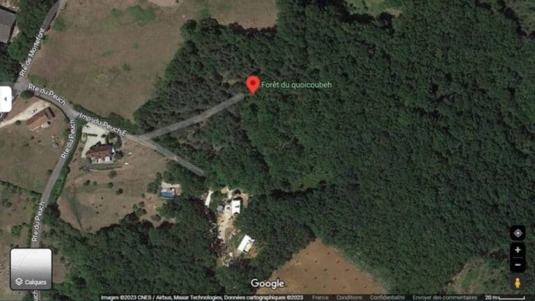 Un adolescent renomme le bois de son père “La forêt du Quoicoubeh”, le village est pris d&rsquo;assaut par des centaines de touristes