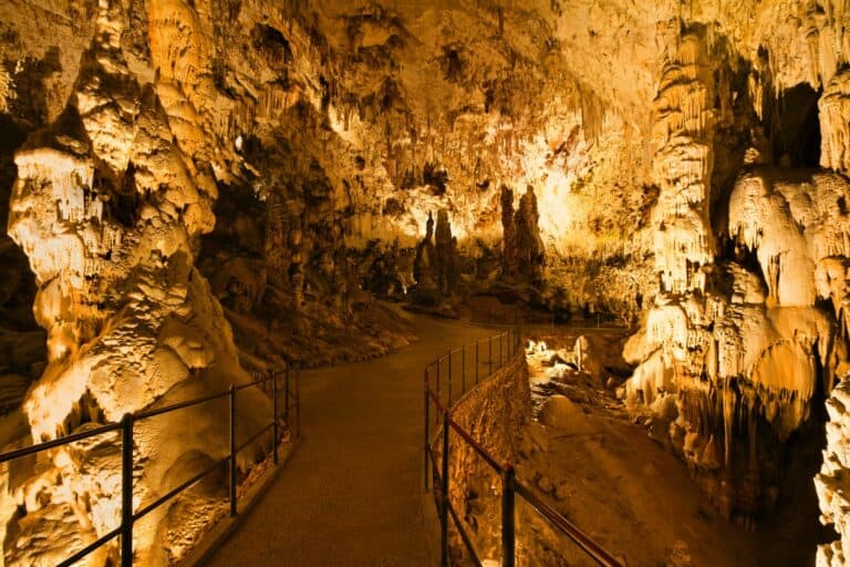 Plongez au cœur des merveilles souterraines de la grotte de Postojna en Slovénie