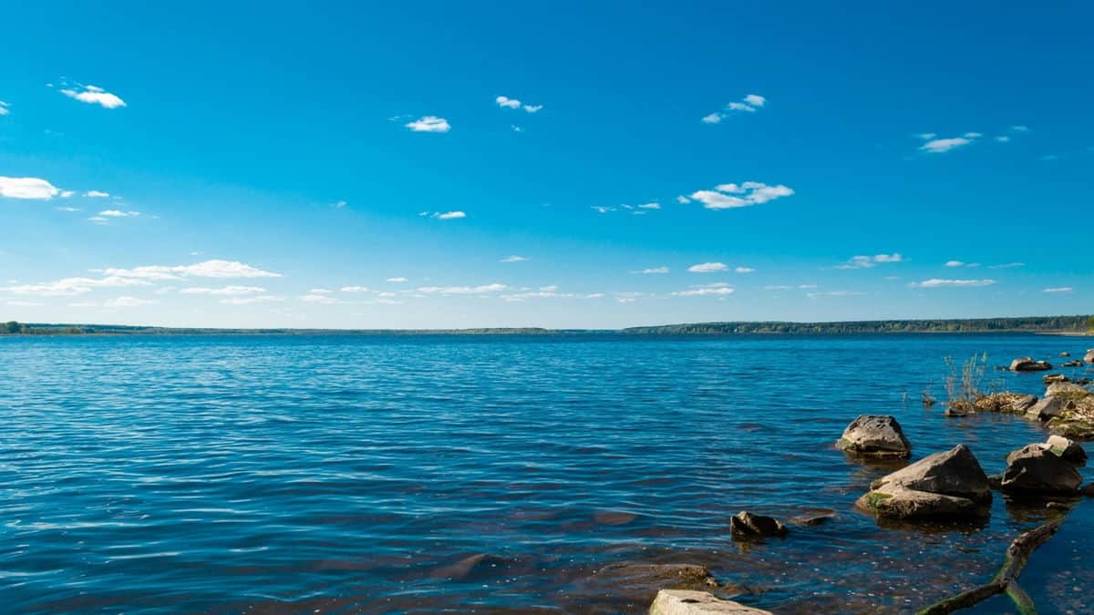 Le lac Isa, joyau unique de Yellowstone : ses eaux se déversent dans les océans Pacifique et Atlantique