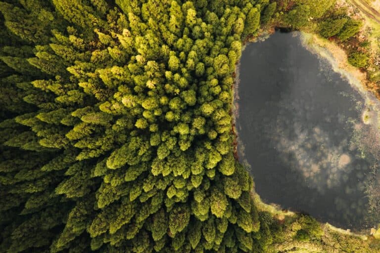 Les îles des Açores : le « Hawaï de l&rsquo;Europe » à ajouter à votre liste de voyages