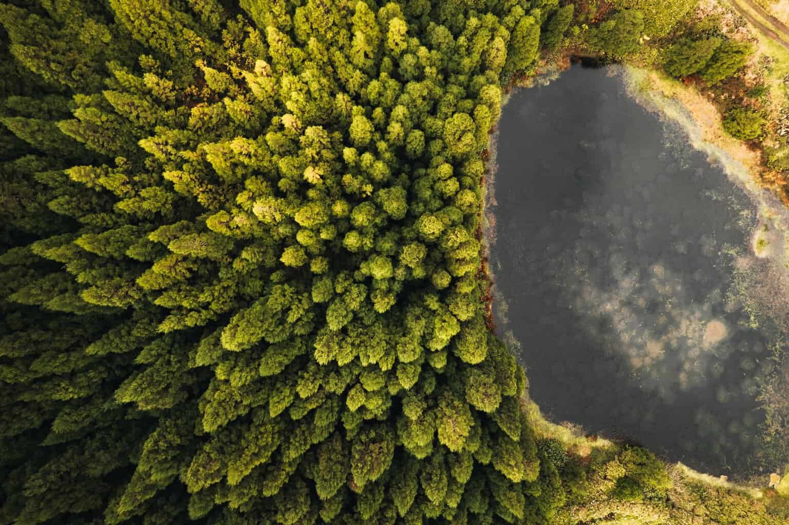 Les îles des Açores : le « Hawaï de l’Europe » à ajouter à votre liste de voyages