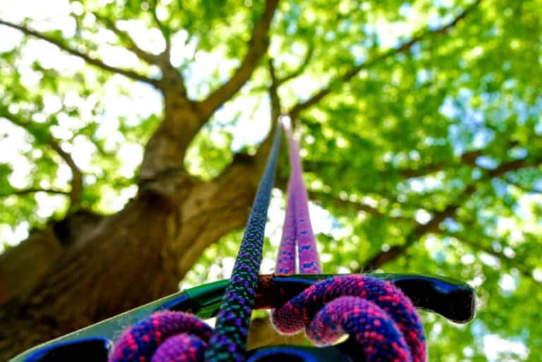 Accrobranche en Normandie : une expérience unique à vivre en pleine nature
