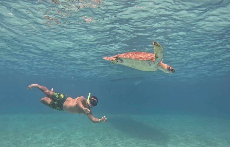 Les 4 meilleures excursions à Playa del Carmen, Mexique